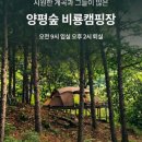 양평숲 비룡캠프장 네이버블로그