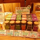 쁘띠 프로방스 이미지