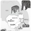 그린필드 이미지