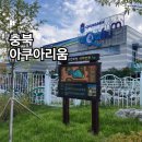 충북아쿠아리움 무료입장 괴산 아이와가볼만한곳 추천 feat.곤충체험전시관