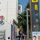 컬러바이조