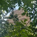 실크로드(중국식) | [시안 4박5일] 하나투어 서안 패키지 실크로드쇼공연 후기 / 실크로드쇼 내용 가격