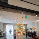 율리 지하철역 | 여의도 웨딩여율리 예식장 후기(27년 상반기 견적공유○)