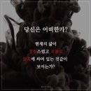 세이노