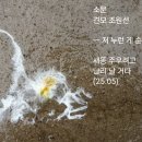 소문 이미지