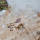 엄마품 원예치유체험농원 이미지