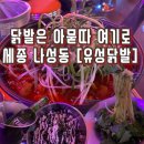 세종에도 유닭있다 [유성닭발] 내돈내산 솔직후기