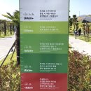 기장 스카이라인루지 : 탑승 시스템 및 주말 방문후기