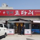 신별미코다리