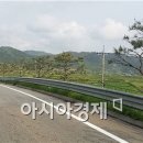 국도13호선 가로수 이미지