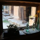 들꽃이야기 이미지