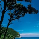 바다풍경 이미지