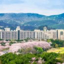 한화리조트 이미지