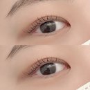 레빗브로우 이미지