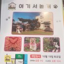 여기서 놀개 | 포항 애견카페 남구 오천읍에서 저렴하게 즐길수 있는 집같은곳 (여기서놀개)방문 후기