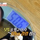 나또네 이미지