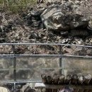 의신 베어빌리지 이미지