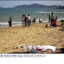 부경대학교 나비센터 이미지