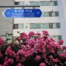 GS25 연남공원 이미지