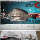 낚시인의 집 이미지