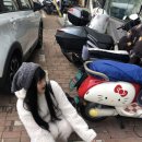 고양이 모자 | 코이세이오 COYSEIO 와이드 캣 비니 그레이 고양이 모자 후기