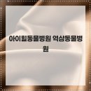 수 동물병원 이미지
