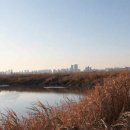 아름다울라이프