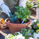 꽃과 식물로 정원가꾸기 이미지