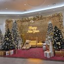 그랜드스포츠타운 | 마곡나루역 다이소 가는 법:: 코엑스마곡 다이소 그랜드오픈 방문 후기