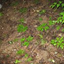 지종농장 이미지