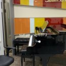 피아노숲 | 병점 오산 성인 피아노 수업 후기 — 숙명푸른숲음악학원 성인반