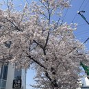 펜션곶감가든 이미지