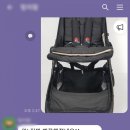 파파스클린 이미지