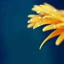 한터 스크린 이미지