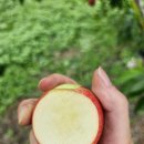 승주농장 이미지