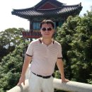 정치망 체험 Daum카페