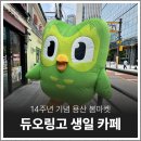 듀오링고 14주년 생일카페 용산 봄마켓 웨이팅 후기