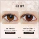 헤이즐톤 이미지