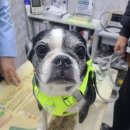 뉴월드동물병원 이미지