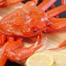 뚱보수산 이미지