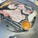 숙성고집 이미지