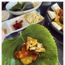 술마실고양 이미지
