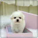 하루산책 이미지