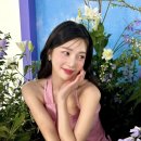 인형어때 이미지