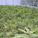 기현2농장 이미지