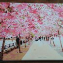 명화민박 이미지