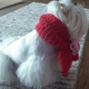 라임오렌지 이미지