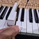 영창농장 이미지