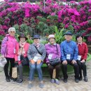 온주종합사회복지관 이미지