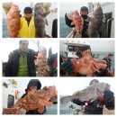 피쉬헌터 이미지